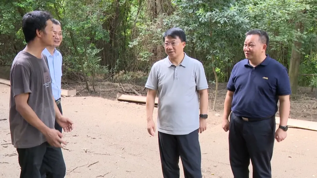 傅小新在石上安福调研
